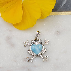 Colgante de Larimar en forma de Rana. Plata 925